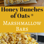 These Honey Bunches of Oats Marshmallow Bars are delicious and easy to make. They are perfect to eat while watching a movie at home or at the movies!