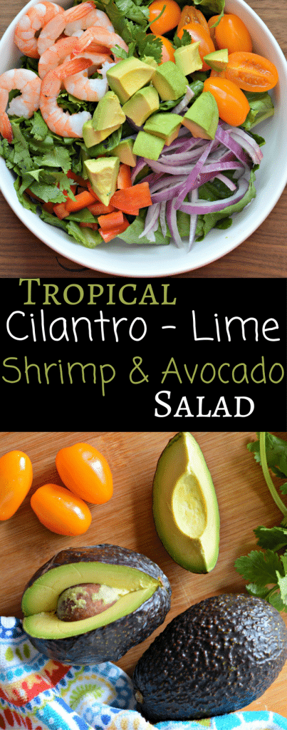 This delicious Tropical Cilantro-Lime Shrimp and Avocado Salad is full of fresh, vibrant ingredients and is perfect with summer coming.