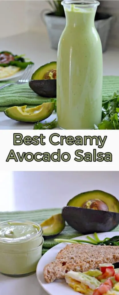This creamy avocado salsa is easy to make and goes great on everything. You will love it!