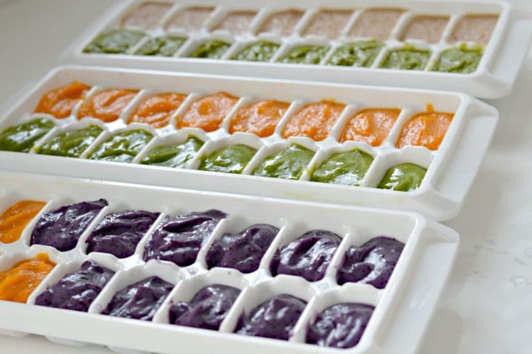 The 5 Best Homemade Baby Food Combinations My Latina Table