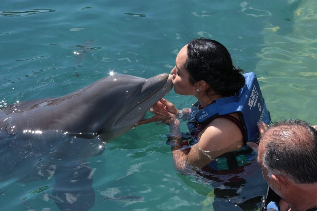 Charbel kissing dolphin