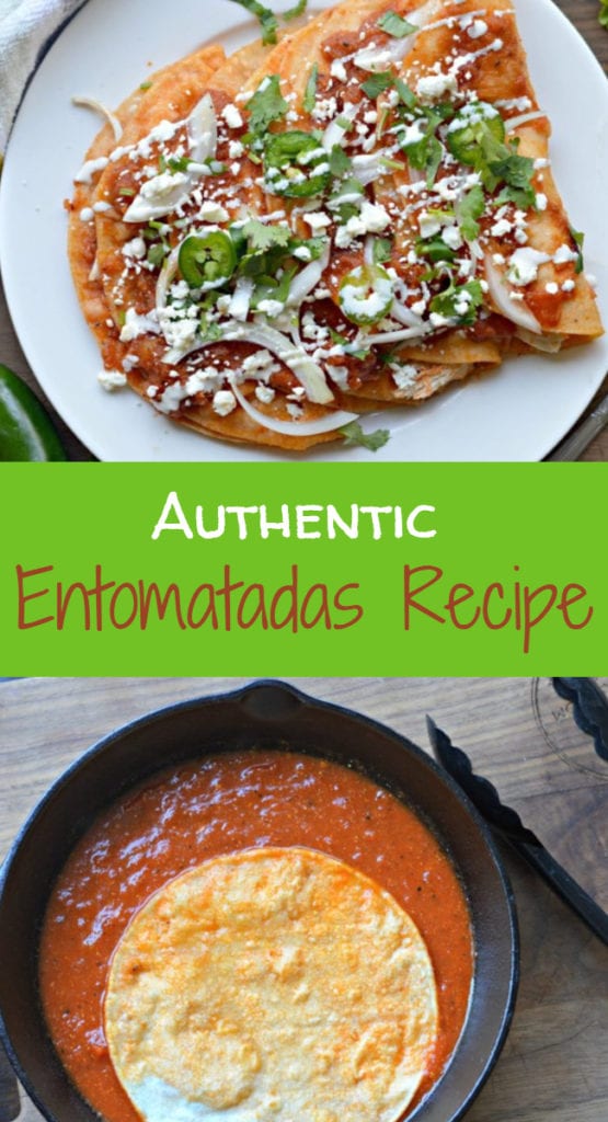 Authentic Mexican Entomatadas Recipe with Chicken - My Latina Table